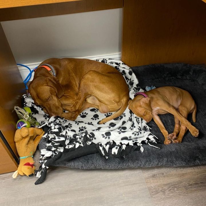 Profile Picture of K.Hoagland (@k.hoagland) on Tiktok