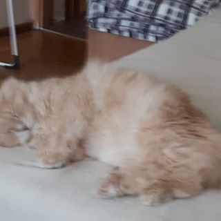 Profile Picture of Janusz Sarnacki (@janusz.sarnacki) on Facebook