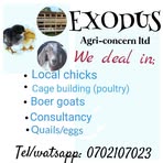 Profile Picture of Benjamin Bakanya (@benjamin.bakanya.2025) on Facebook