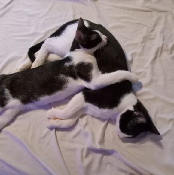 Profile Picture of Candice Daykin (@candicedaykin0) on Poshmark