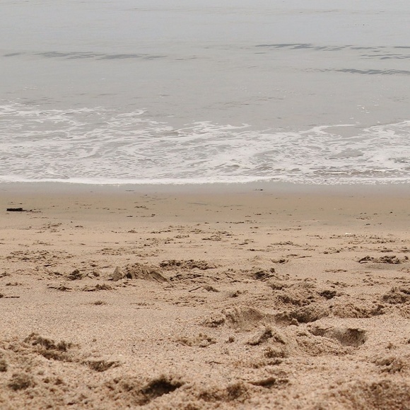 Profile Picture of Justin Petrozzi (@trozz61) on Poshmark