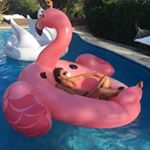 Profile Picture of Maxime Post (@maximepost) on Instagram