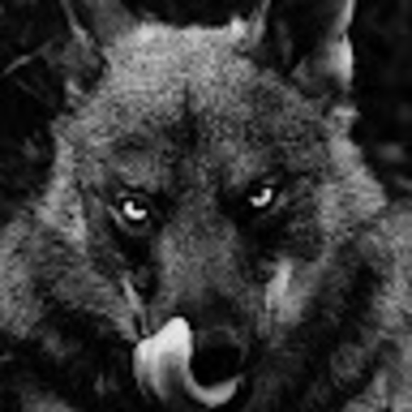 Profile Picture of Sabastian Supik (@sabastiansupik9) on Poshmark