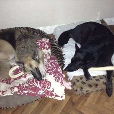 Profile Picture of . (@DanielLeeks_579) on Twitter