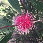 Profile Picture of Deb Smith (@debra.smith.1293575) on Instagram