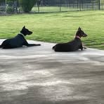 Profile Picture of Thomas Fioretti (@thomas.fioretti.2025) on Facebook