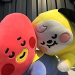 Profile Picture of 靈魂伴侶95zzz🐥🐯(頭貼之後換回來) (@95zzz.bts) on Instagram