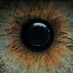 Profile Picture of mark zack (@markzackbrand) on Instagram