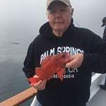 Profile Picture of Larry Todd (@todrose1) on Instagram