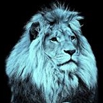 Profile Picture of Jason E. Diedrich (@jasondiedrich) on Instagram