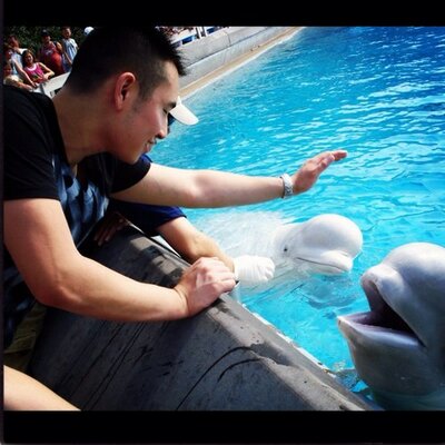 Profile Picture of Vincent Wu (@vincew) on Twitter