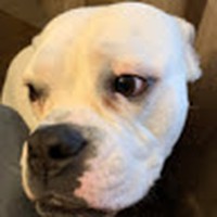 Profile Picture of Jacob Healey (@jacob-healey-10) on Quora