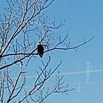 Profile Picture of Andrea Conley (@andrea.conley.121772) on Facebook