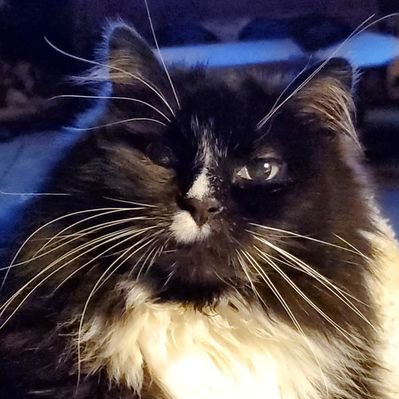 Profile Picture of Pamela Minter (@PamelaMinter4) on Twitter