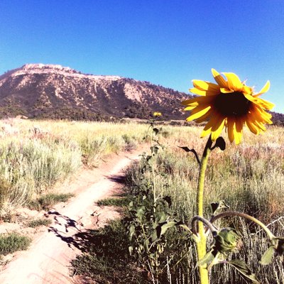 Profile Picture of Andrea Litzow (@litzow_andrea) on Twitter
