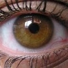 Profile Picture of George (@yo9fah) on Twitter