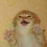 Profile Picture of mauricio_galvan08 (@mauricio_galvan08) on Instagram