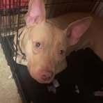 Profile Picture of Avery Baldwin (@Avery-Baldwin) on Facebook