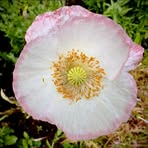 Profile Picture of Peyton Hayslip (@peytonhayslip) on Facebook