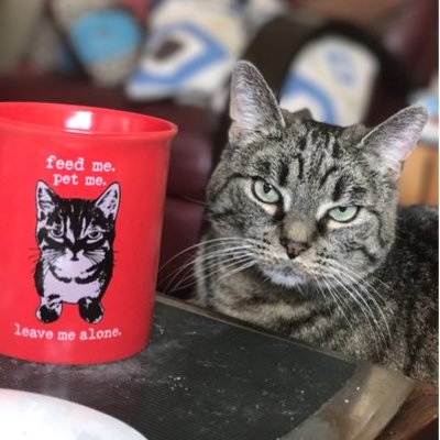 Profile Picture of Steve Rheault (@Skuba77) on Twitter
