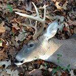 Profile Picture of Keith Bauer (@deer_hunter_1976) on Instagram
