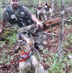 Todd Branner - Facebook Profile Picture of Todd Branner (@todd.branner) on Facebook