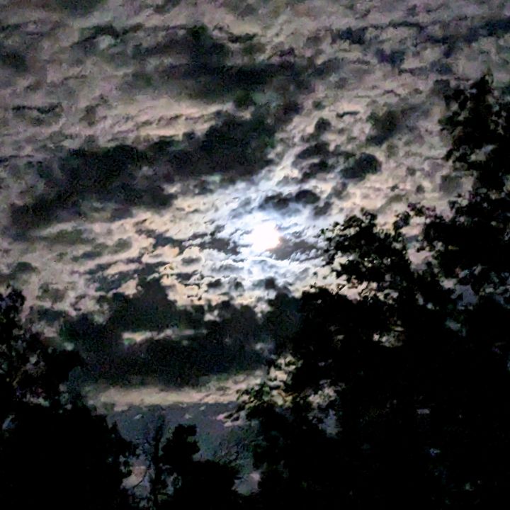 Eric Spicer - Tiktok Profile Picture of Eric Spicer (@@ericspicer4) on Tiktok