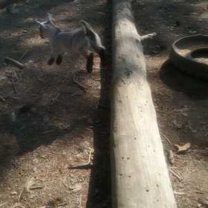 Profile Picture of Matthew Holloman (@MatthewHollom11) on Twitter