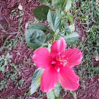 Profile Picture of Jessica Partain (@jpartain16) on Twitter