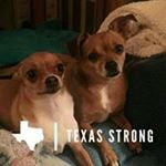 Profile Picture of Terry Venable (@terry.venable.161) on Instagram