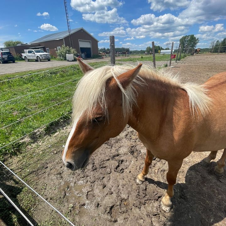 Marcus Boucher - Tiktok Profile Picture of Marcus Boucher (@marcusboucher5) on Tiktok