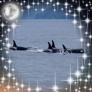 Profile Picture of Nicholas Stivers (@nicholas.stivers.5) on Facebook