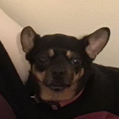 Profile Picture of Mike (@MikeGaspar) on Twitter