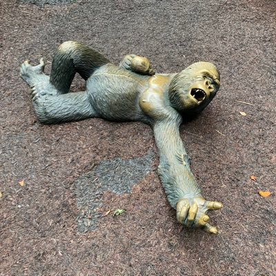 Profile Picture of Aaron Ford (@shalmelo) on Twitter