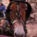 Profile Picture of Charles Frady (@Charles-Frady) on Facebook