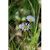 Profile Picture of Phyllis Oster (@mosters7855) on Pinterest