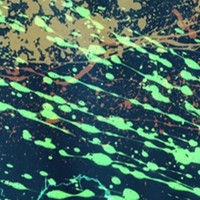 Profile Picture of Paige Keating (@paige-keating-1) on Quora