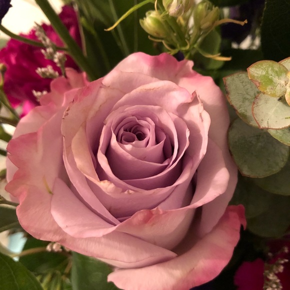 Profile Picture of Leellyn Berg (@ellyn8182) on Poshmark