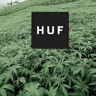 Profile Picture of Michael Hsia (@michaelhsia2000) on Twitter