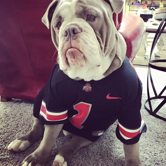 Kristin Cavicchia - Poshmark Profile Picture of Kristin Cavicchia (@mamacavicch) on Poshmark