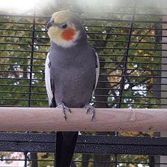 Profile Picture of Benjamin Husmann (@benjaminhusmann) on Tiktok