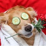 Profile Picture of John Marksbury (@jcmarksbury_paint) on Instagram