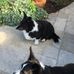 Profile Picture of Christine Stacey (@christine.stacey.71697) on Facebook