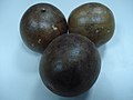 Profile Picture of Siraitia grosvenoriion Wikipedia