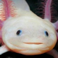 Profile Picture of Isis Guzmán (@isis-guzmán) on Quora