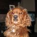Profile Picture of Ernest Darroch (@Ernest-Darroch) on Facebook