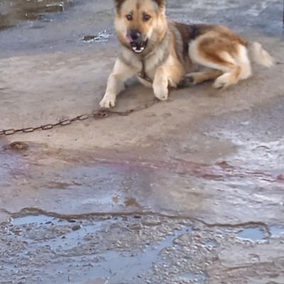 Profile Picture of Francisco Espinal (@Francis97876940) on Twitter