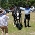 David Botham - Instagram Profile Picture of David Botham (@davidbotham) on Instagram