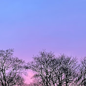 Marian Said - Youtube Profile Picture of Marian Said (@mariansaid8806) on Youtube