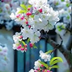 Profile Picture of Daniel Ñelson (@Daniel-Ñelson) on Facebook